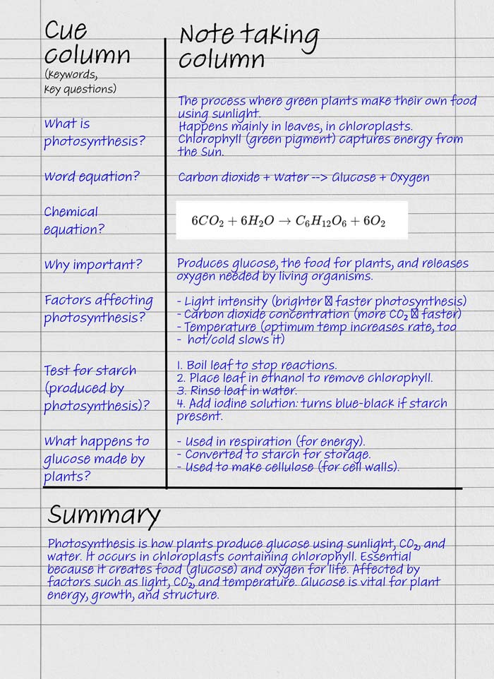 Example of note taking with Cornell notes system (photosynthesis)